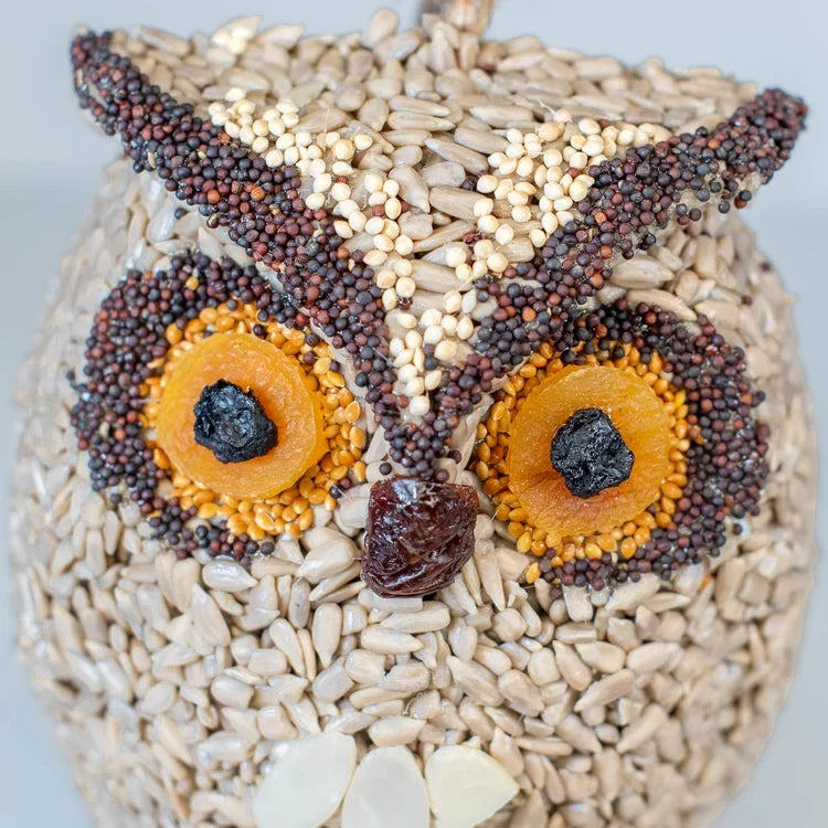 Whoo-lio The Owl Wild Bird Seed Feeder