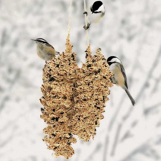 Wild Bird Seed Pinecone Pair