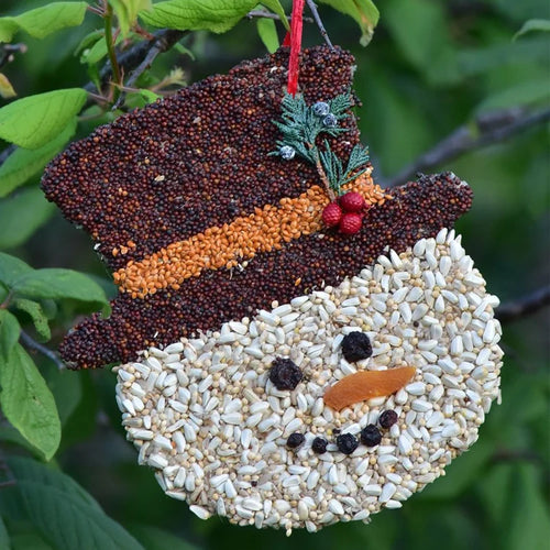 Holiday Bird Seed Cookie, Frosty