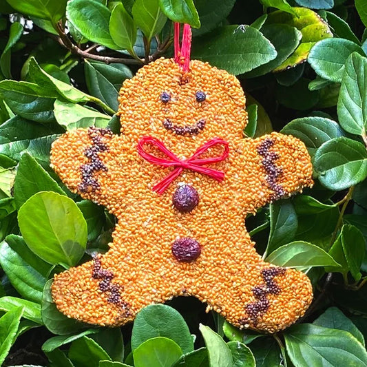 Holiday Bird Seed Cookie, Gingerbread Man