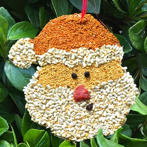Holiday Bird Seed Cookie, Santa
