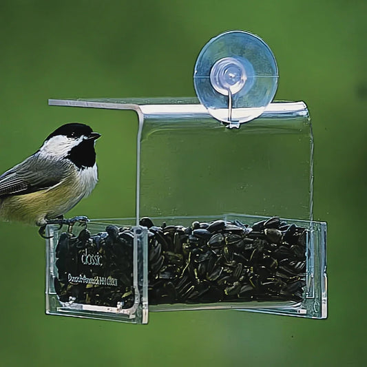 Duncraft Mini Window Feeder