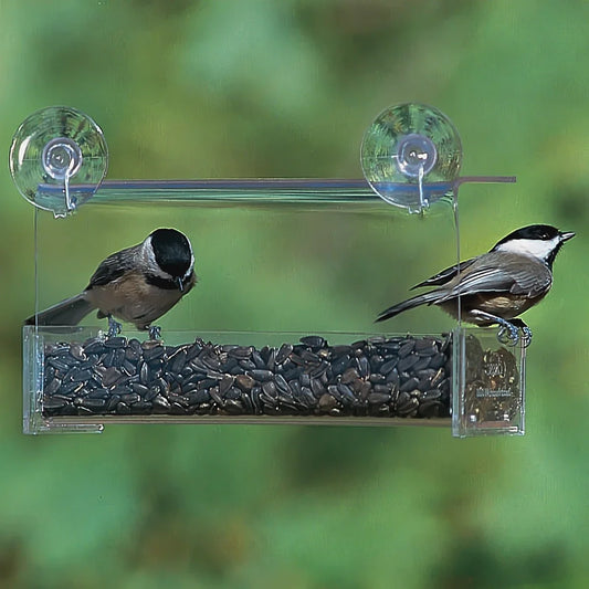 Duncraft Classic Window Feeder