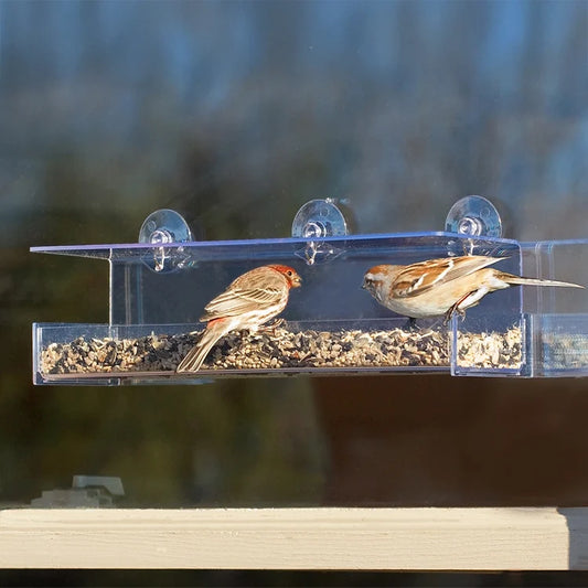 Duncraft Classic III Window Bird Feeder