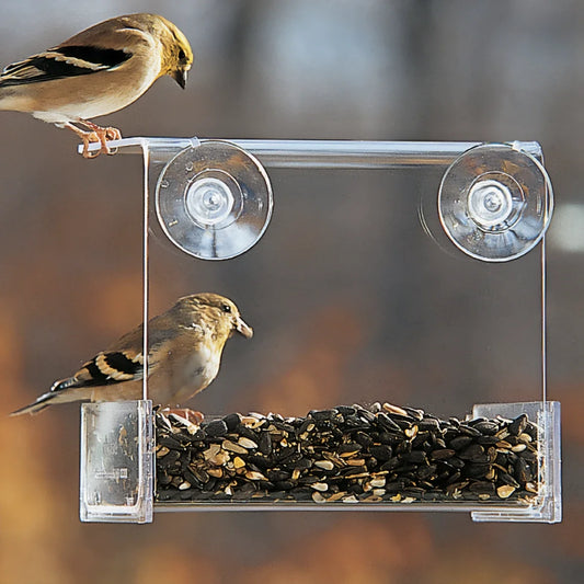 Duncraft Songbird Buffet Window Bird Feeder