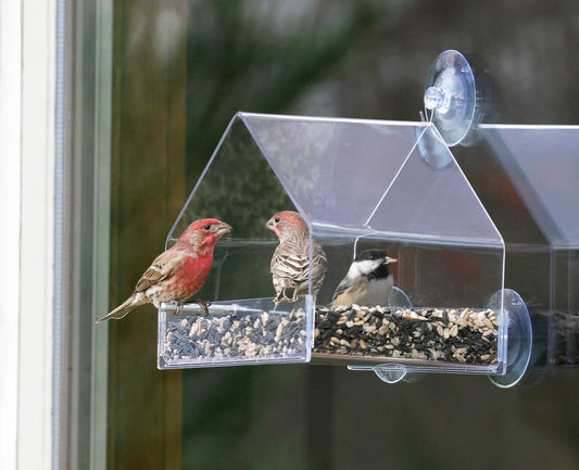Duncraft Window Chalet Bird Feeder