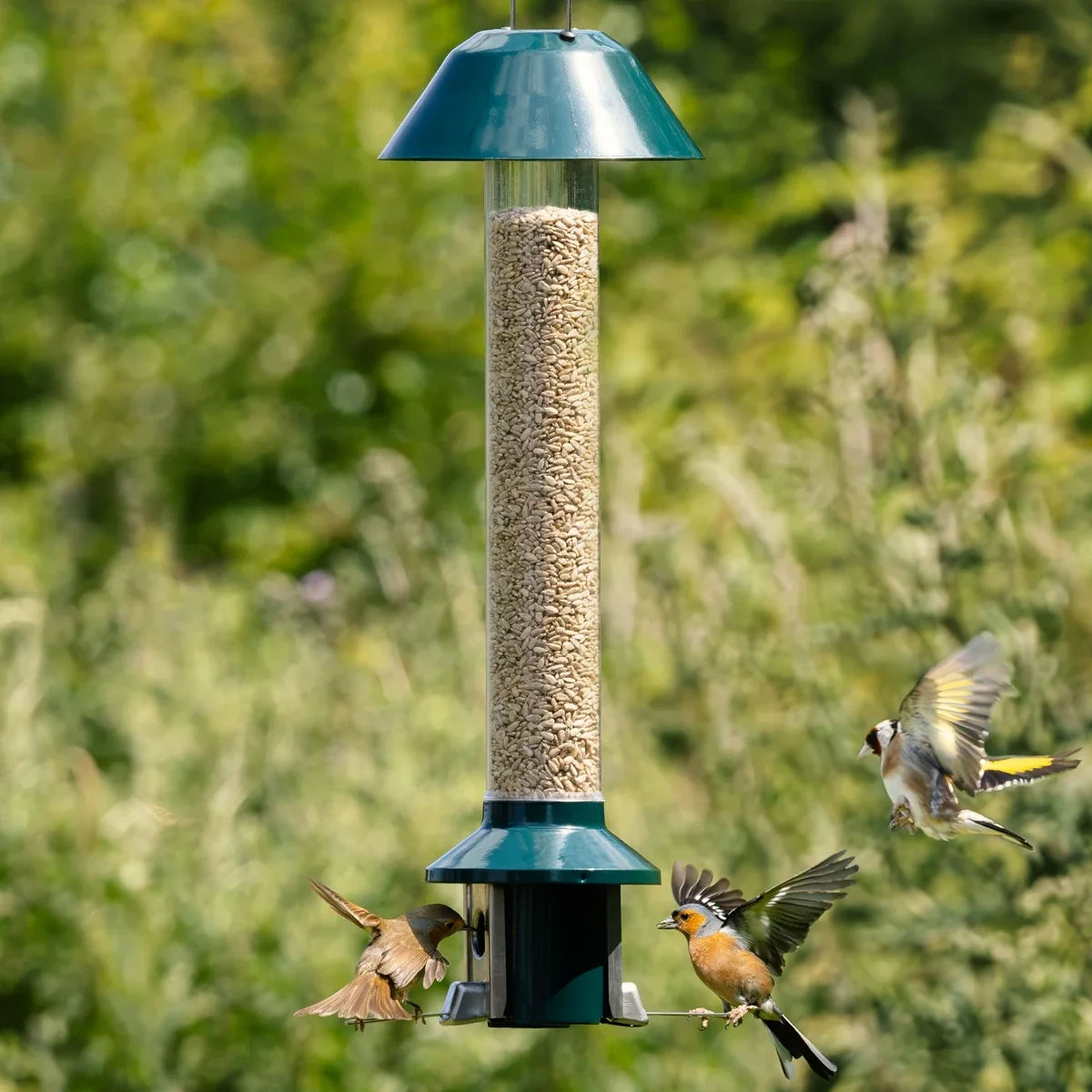 PestOff Squirrel Proof Bird Feeder 2.0