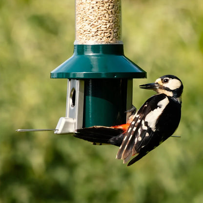 PestOff Squirrel Proof Bird Feeder 2.0