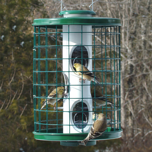 Heavy-Duty Mixed Seed Bird Feeder