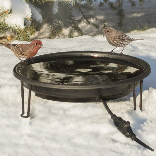 Heated Bird Bath Ground Level