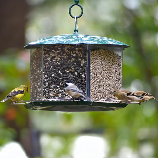 Triple Option Bird Feeder