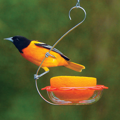 BO's Marmalade Hanging Oriole Feeder