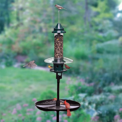 Brome Squirrel Buster Plus Podium Kit Bird Feeder