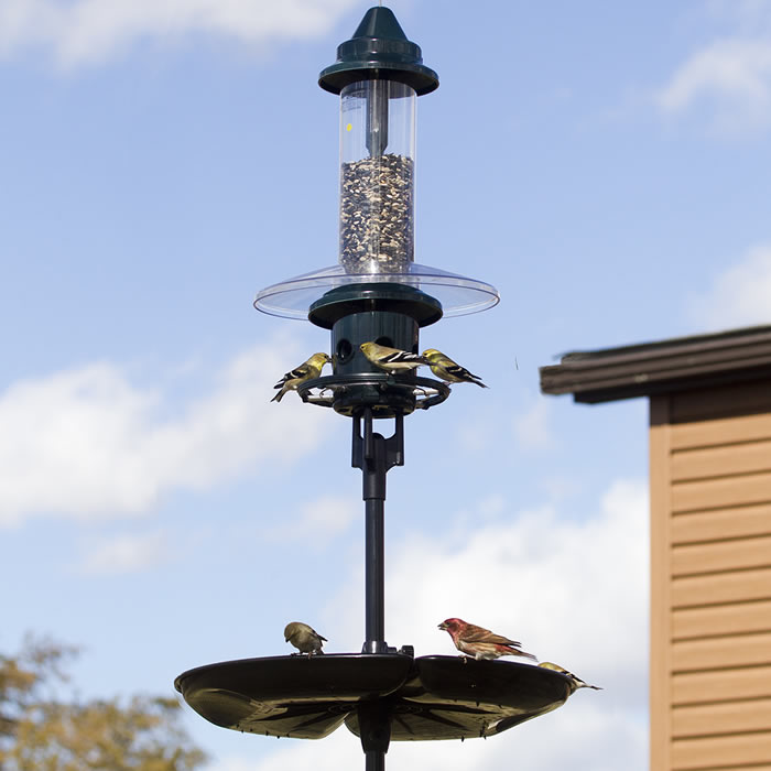 Brome Squirrel Buster Plus Podium Kit Bird Feeder