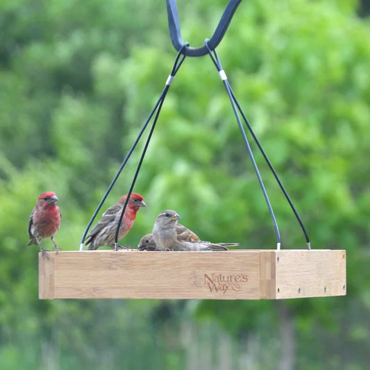 Bamboo Tray Bird Feeder ($10.00 OFF)