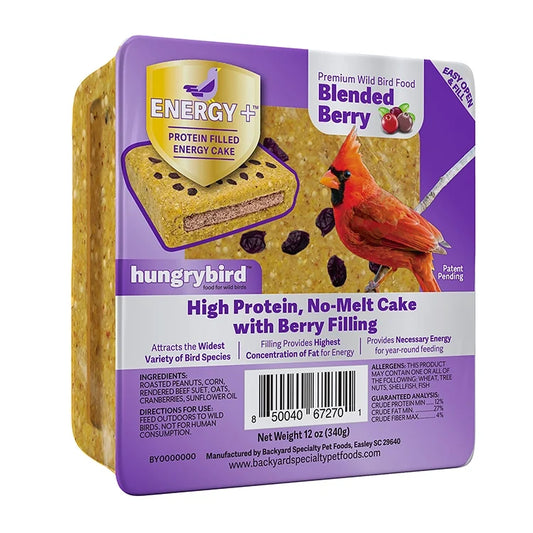 Energy+ Suet Cakes with Berry Blend Filling, Set of 12