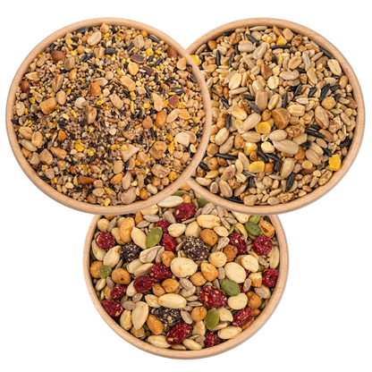Backyard Banquet Seed Bundle