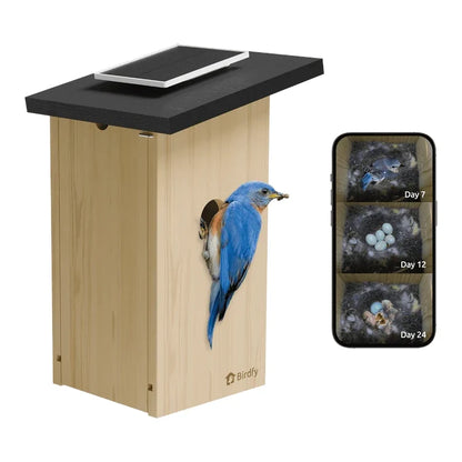 Birdfy Ebony Nest Birdhouse with Camera