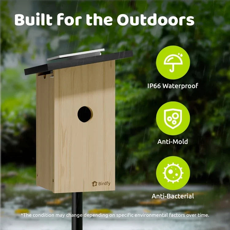 Birdfy Ebony Nest Birdhouse with Camera