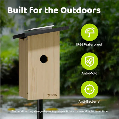 Birdfy Ebony Nest Birdhouse with Camera