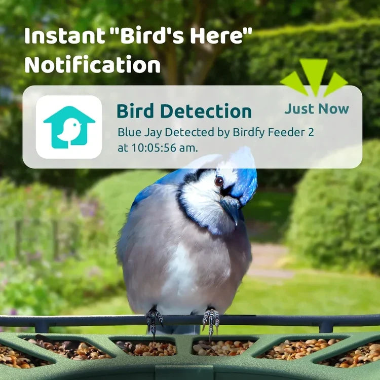 Birdfy Feeder 2 Duo - Bird Feeder with Camera