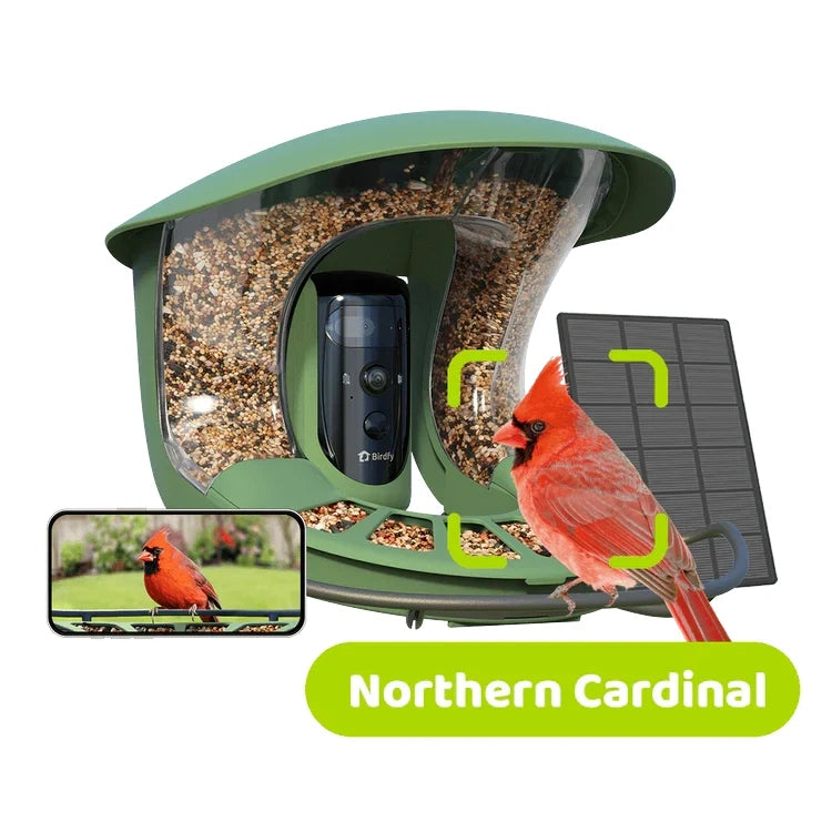 Birdfy Bird Feeder 2 Pro with Camera
