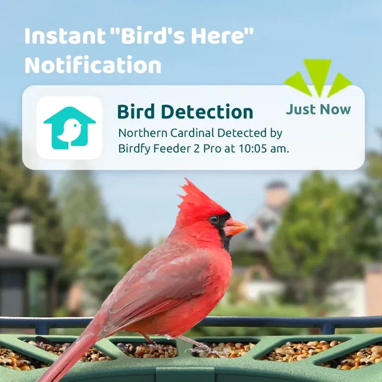 Birdfy Bird Feeder 2 Pro with Camera