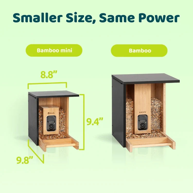 Birdfy Mini Bamboo Bird Feeder with Camera