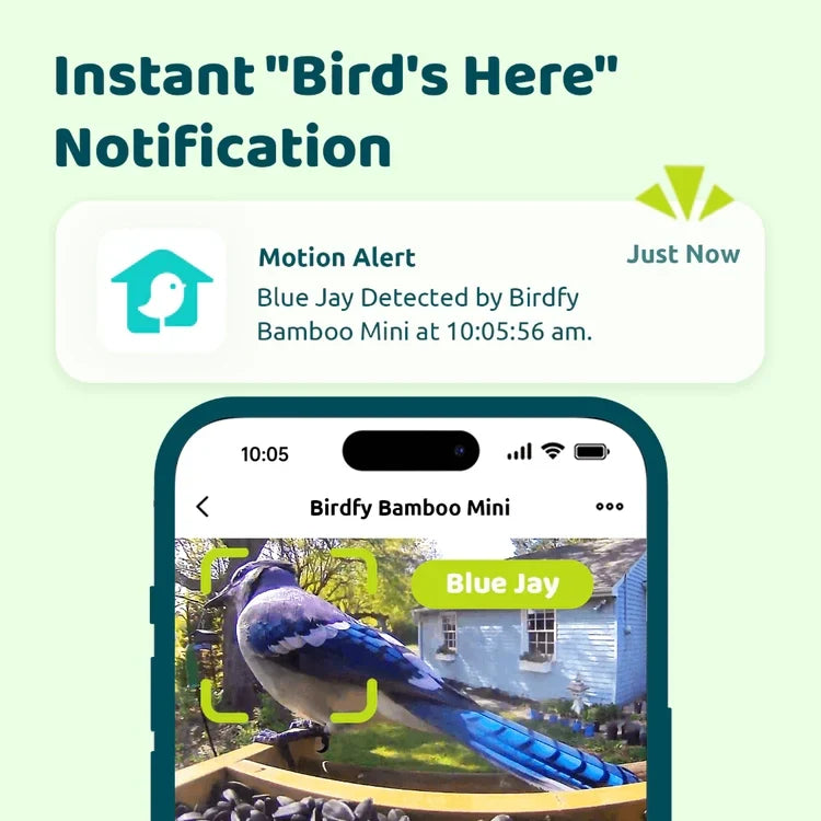 Birdfy Mini Bamboo Bird Feeder with Camera