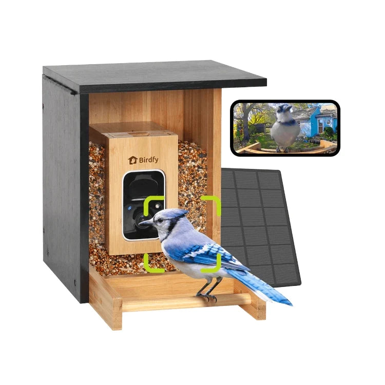 Birdfy Mini Bamboo Bird Feeder with Camera
