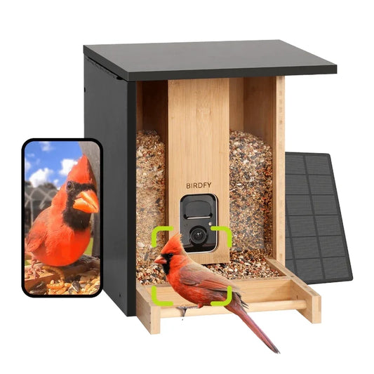 Birdfy Eco-friendly Bamboo Smart Bird Feeder