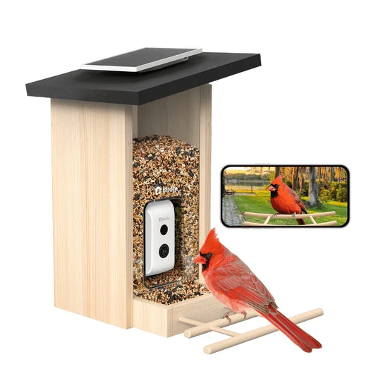 Birdfy Feeder Ebony - Wooden Smart Bird Feeder