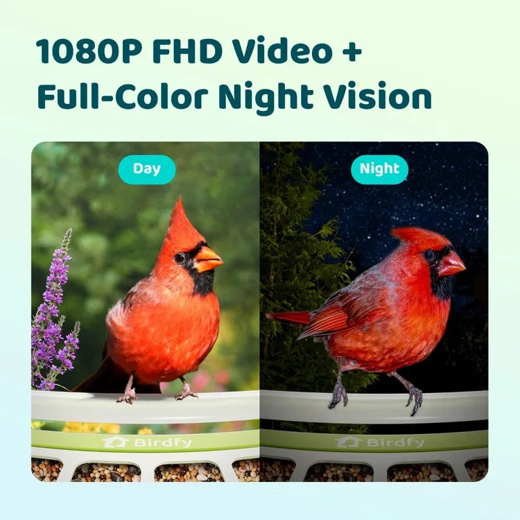 Birdfy Smart Metal Bird Feeder with Camera