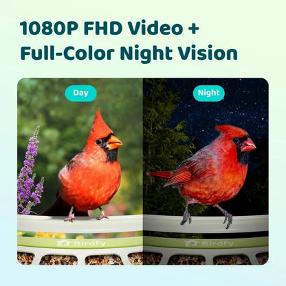 Birdfy Smart Metal Bird Feeder with Camera