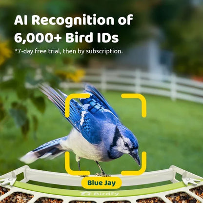 Birdfy Smart Metal Bird Feeder with Camera