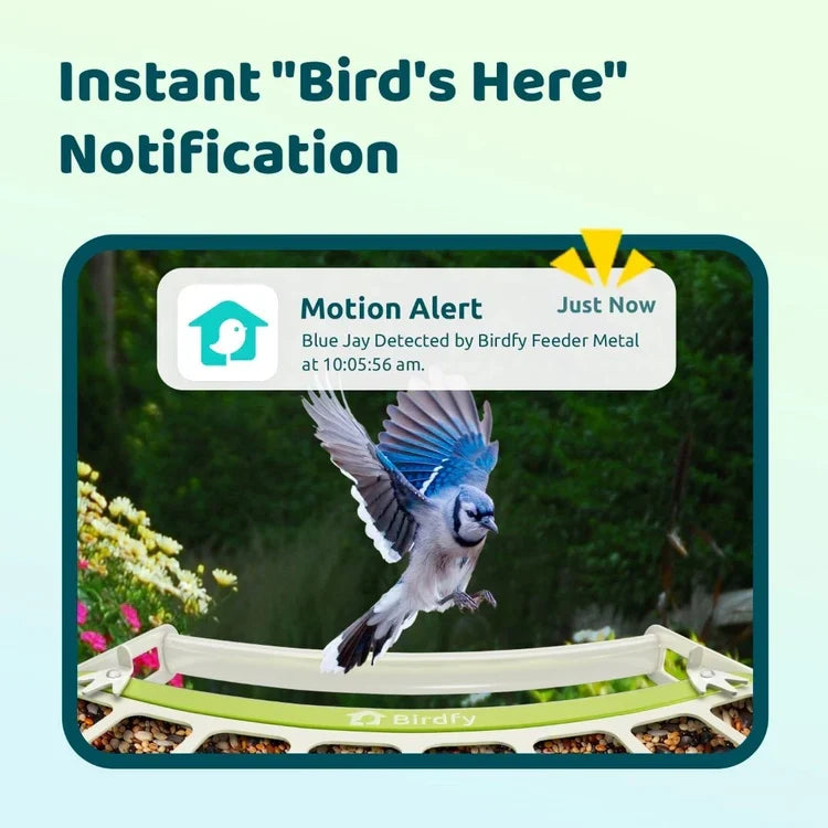 Birdfy Smart Metal Bird Feeder with Camera