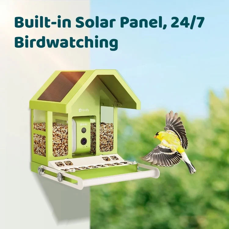 Birdfy Smart Metal Bird Feeder with Camera
