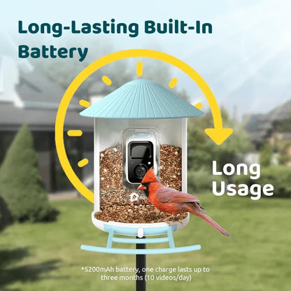 Birdfy Blue Bird Feeder 1 with Camera