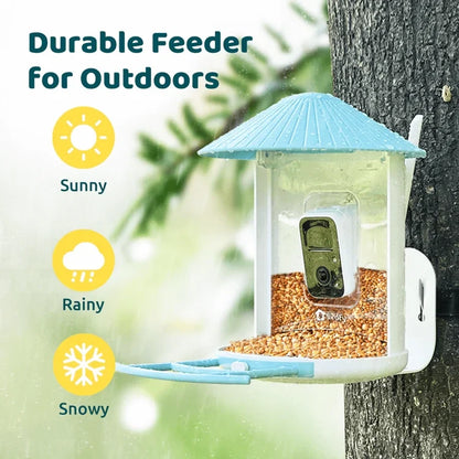 Birdfy Blue Bird Feeder 1 with Camera