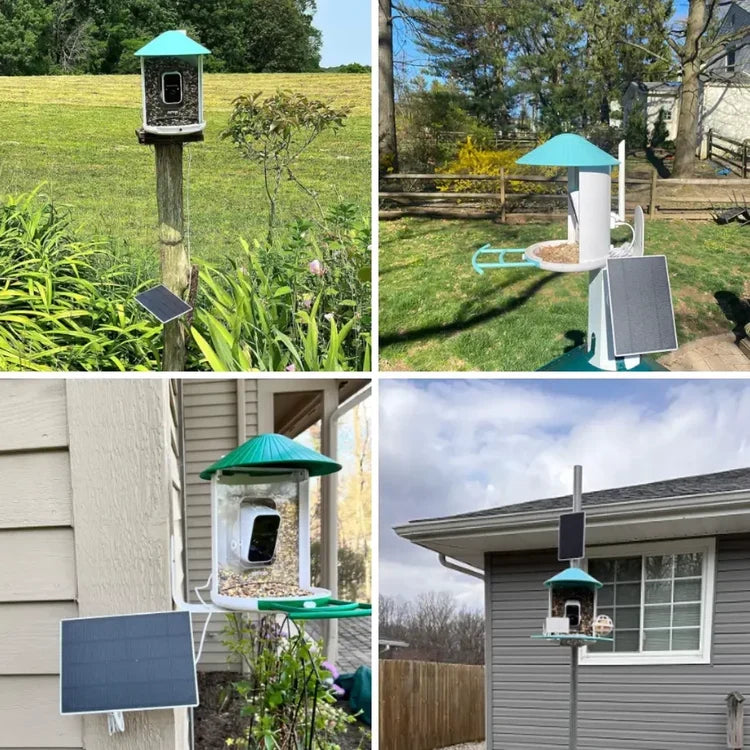 Birdfy Feeder Solar Powered Bird Feeder Camera,  Blue / AI Lifetime Free