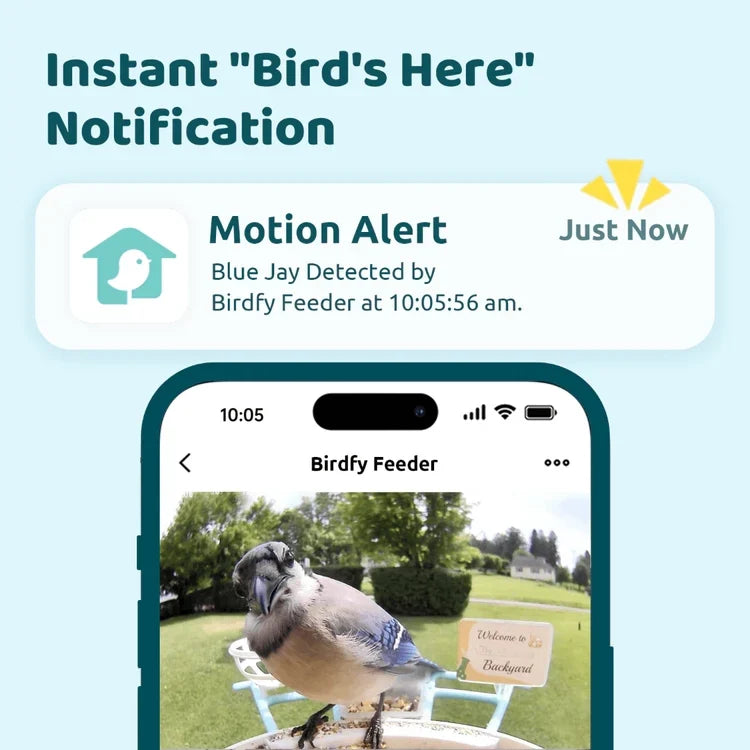 Birdfy Feeder Solar Powered Bird Feeder Camera,  Blue / AI Lifetime Free
