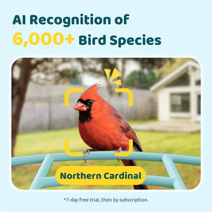 Birdfy Feeder Solar Powered Bird Feeder Camera,  Blue / AI Lifetime Free