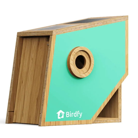 Birdfy Nest Polygon - Smart Birdhouse with Camera