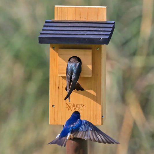 Cedar Bluebird Box House