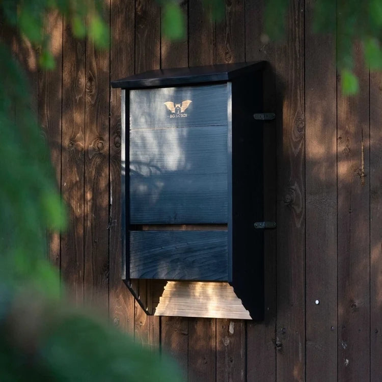Three-Chamber Bat House, Black