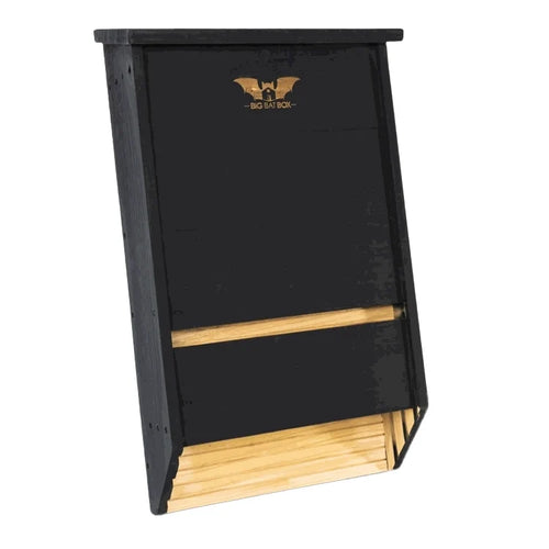 Three-Chamber Bat House, Black