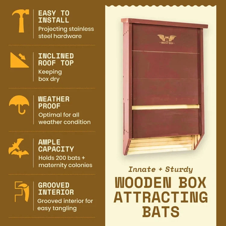 Three-Chamber Bat House, Brown