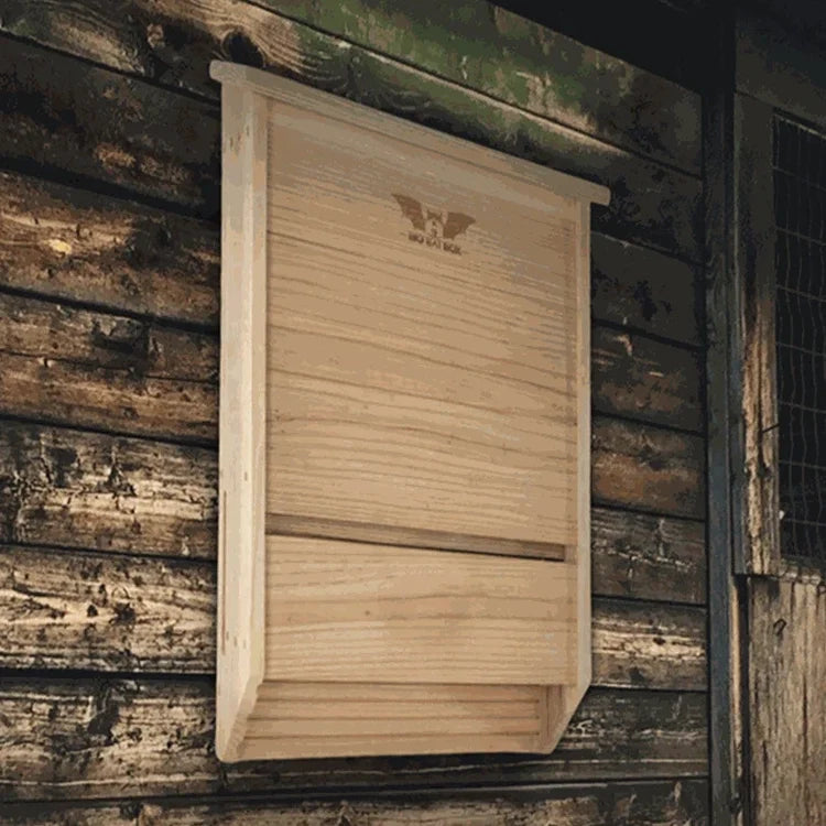 Three-Chamber Bat House, Cedar