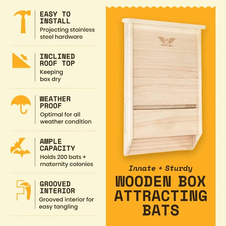 Three-Chamber Bat House, Cedar