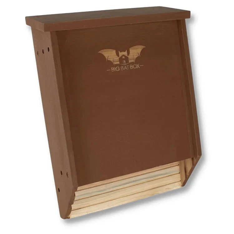 Two-Chamber Bat House, Brown